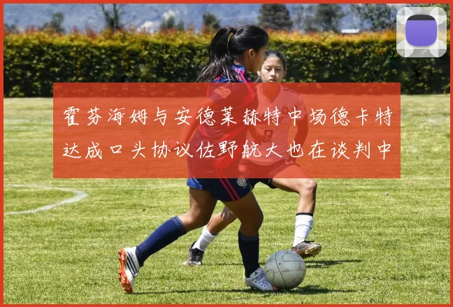 霍芬海姆与安德莱赫特中场德卡特达成口头协议佐野航大也在谈判中