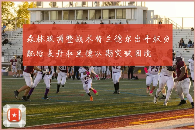 森林狼调整战术将兰德尔出手权分配给麦丹和里德以期突破困境